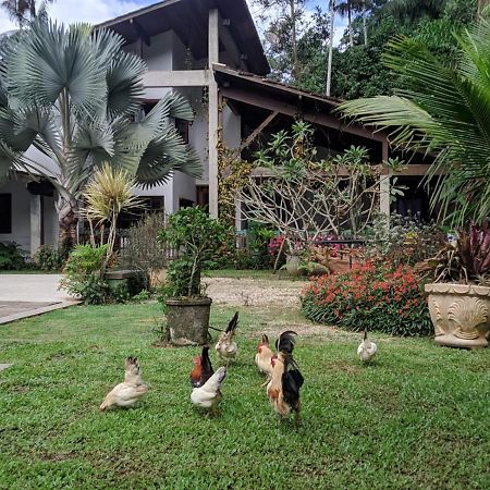 Casa Na Floresta Apartment เปเนโด ภายนอก รูปภาพ