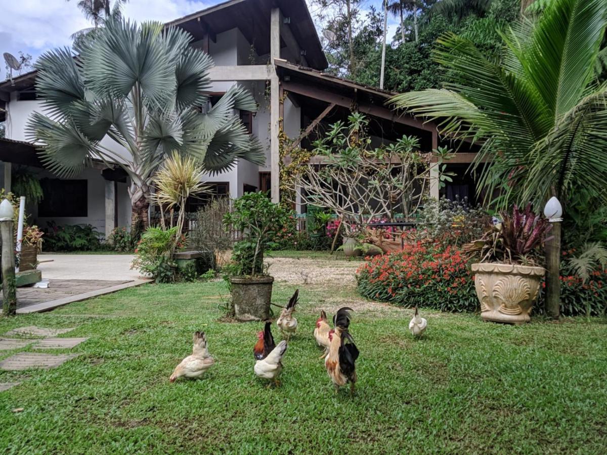 Casa Na Floresta Apartment เปเนโด ภายนอก รูปภาพ