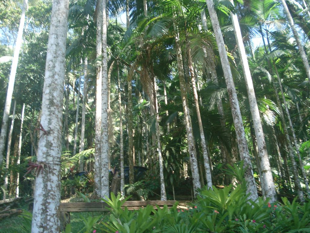 Casa Na Floresta Apartment เปเนโด ภายนอก รูปภาพ