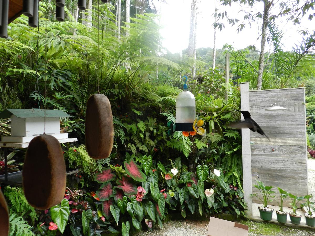 Casa Na Floresta Apartment เปเนโด ภายนอก รูปภาพ