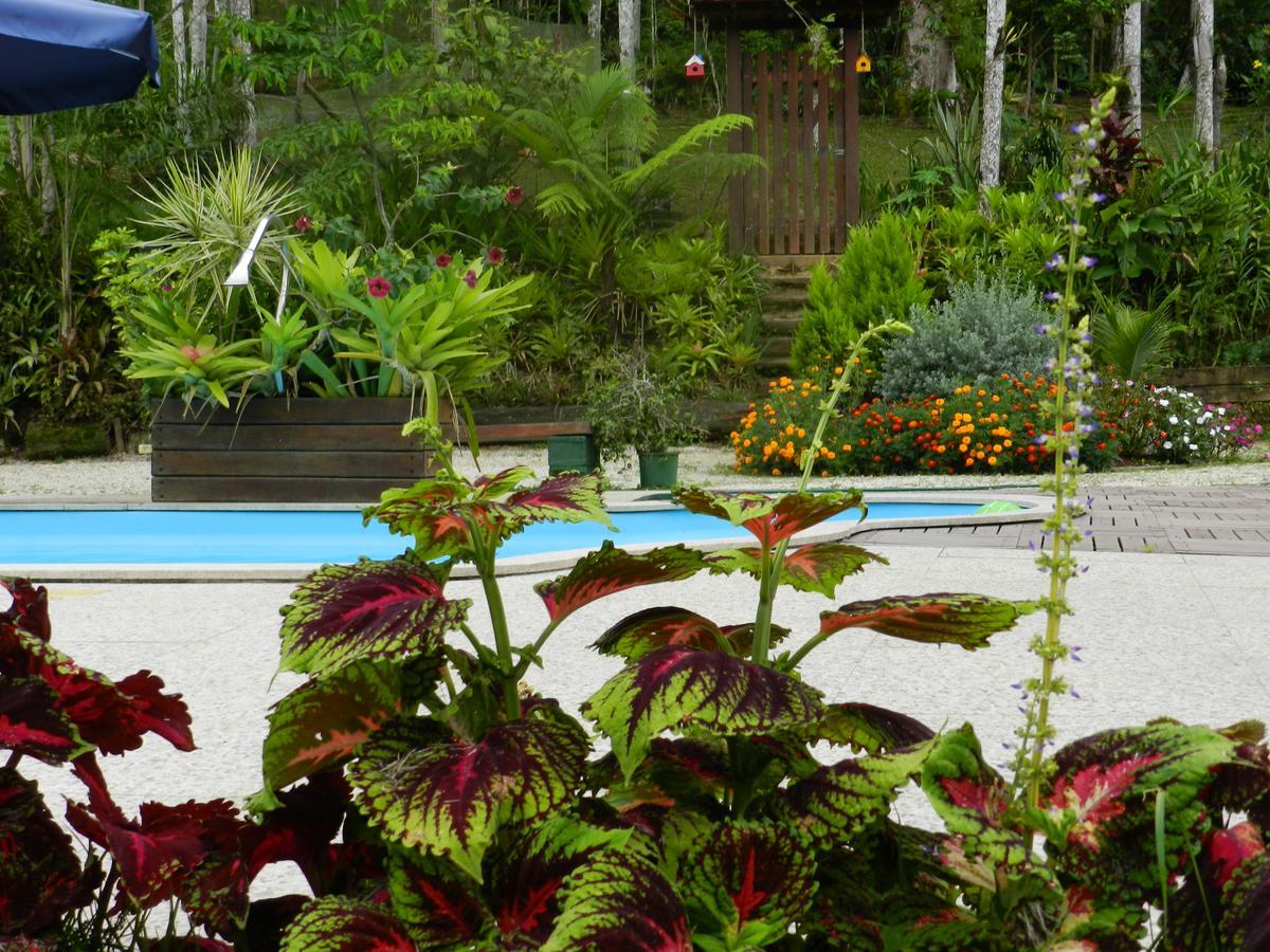 Casa Na Floresta Apartment เปเนโด ภายนอก รูปภาพ
